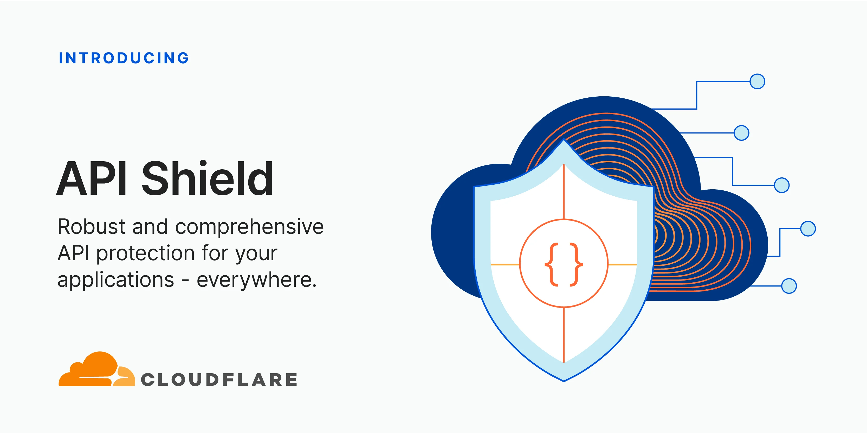 Introducing API Shield